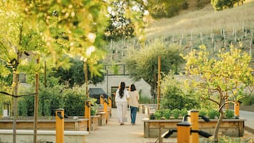A pathway lined with wooden planters and benches, leading to a building with a covered entrance.