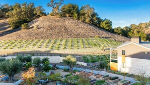 Un vignoble avec des rangées de vignes, un bâtiment portant le numéro 45 et des espaces de repos aménagés à l’extérieur.