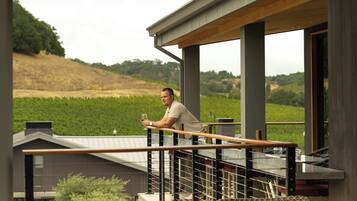 A man on a balcony with a view of a vineyard.