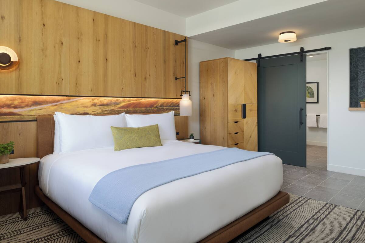 A modern hotel room with a large bed, wooden panel walls, a sliding door, and a small bedside table with a plant.