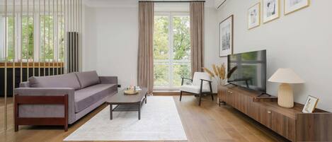 Fernseher, Arbeitsbereiche