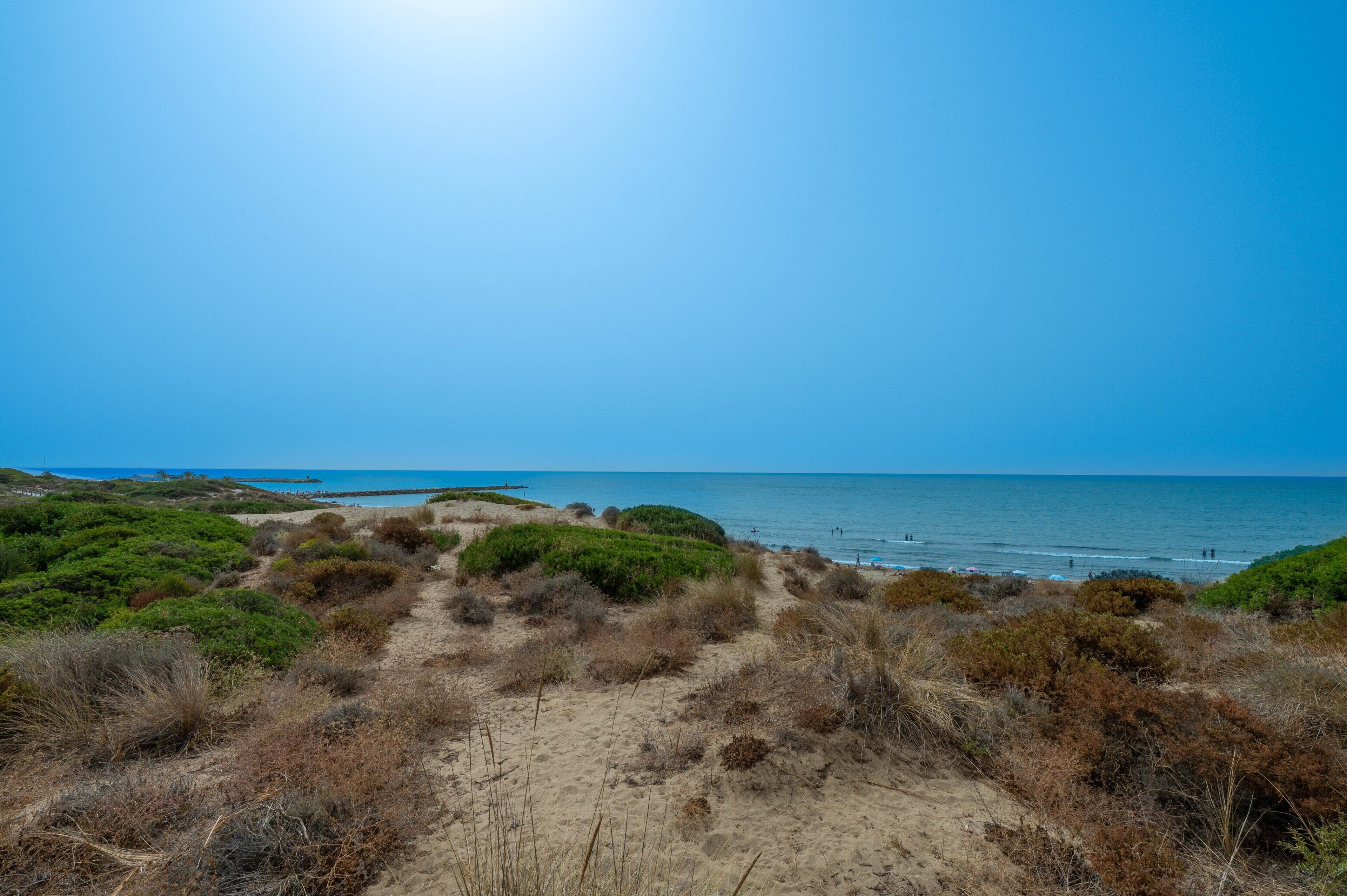 Playa en los alrededores 