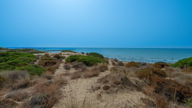 Ein Küstenpfad, der zum Strand mit Dünen und Vegetation führt.