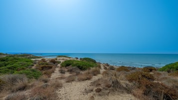 Playa en los alrededores