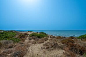 A coastal path leading to the beach with dunes and vegetation.