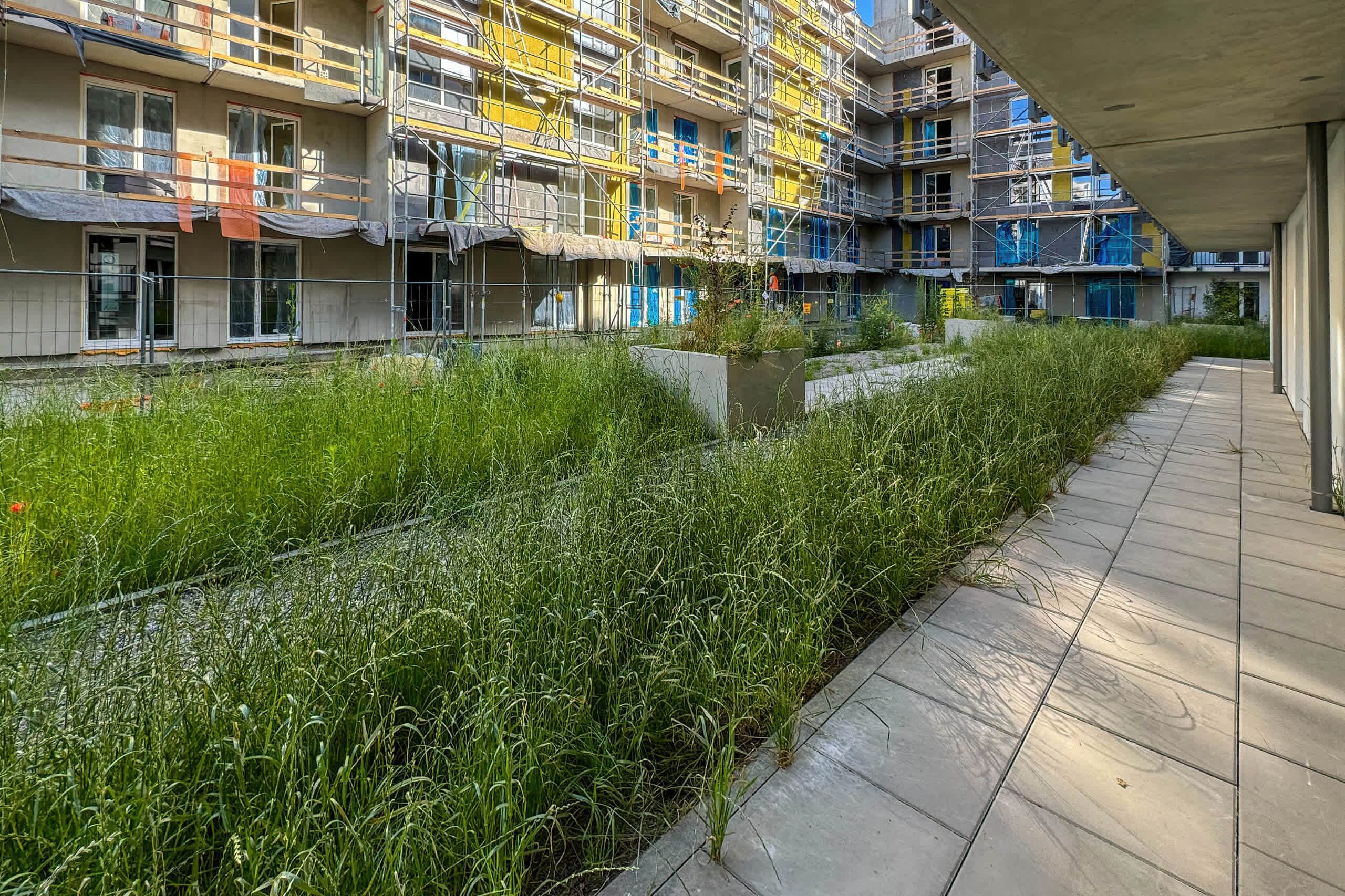 Área da propriedade