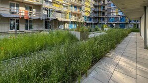 Un immeuble à plusieurs étages, avec des échafaudages, un chemin en béton et un espace verdoyant agrémenté d’un petit élément décoratif aquatique.