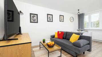 Fernseher, Arbeitsbereiche