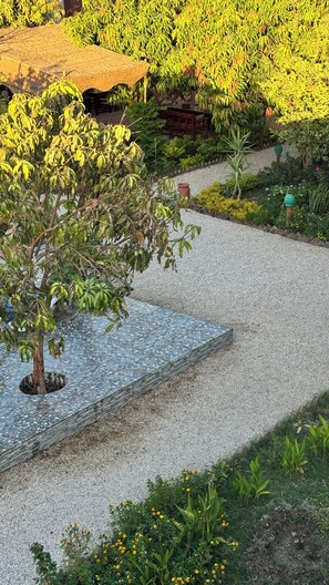 Un sendero en un jardín con un área empaveda, rodeado de plantas y árboles.