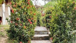 A stone staircase surrounded by lush greenery and flowering plants. - Amazing private room for 3 to 200 meters from Tayrona Park (Santa Marta)