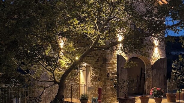 Un edificio in pietra con portali ad arco e un albero in primo piano.