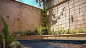 A brick pool with a tiled edge, surrounded by plants and a fence.