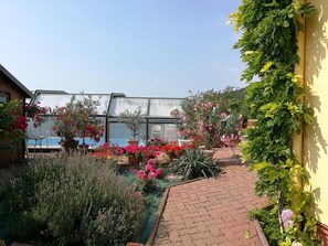 Property grounds - Chambres d'hotes de la Tulipe (Mittelbergheim)