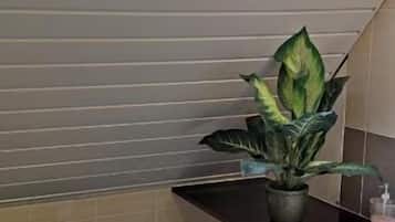Economy Double Room, Garden View | Bathroom