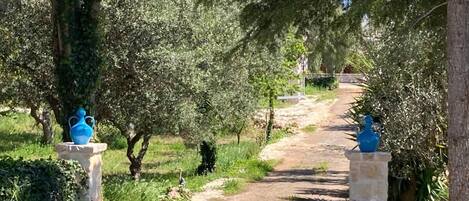 Áreas de la propiedad