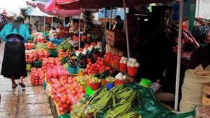 A market stall with various vegetables and fruits displayed in baskets and containers. - Modern, upscale loft one block from the walkway (San Cristobal d elas Casas, Chiapas)