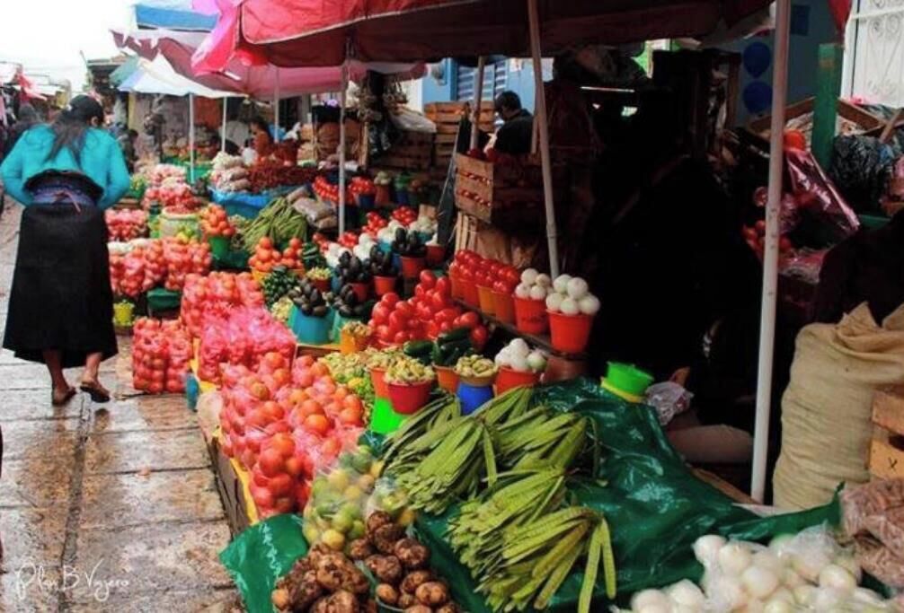 A market with various fruits and vegetables displayed in bins and baskets.