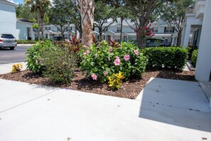 Jardines del alojamiento