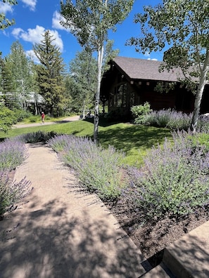 Áreas de la propiedad