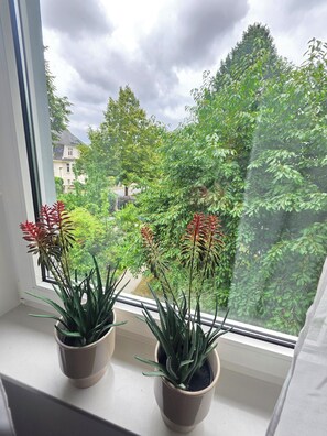 Two potted plants on a windowsill with a view of a residential area and trees.