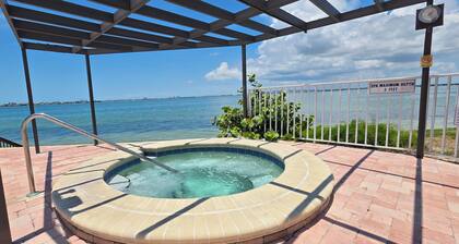 Cozy 1-bedroom condo with spectacular view, WiFi, AC in welcoming St. Pete