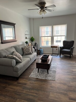 Smart TV, fireplace, books