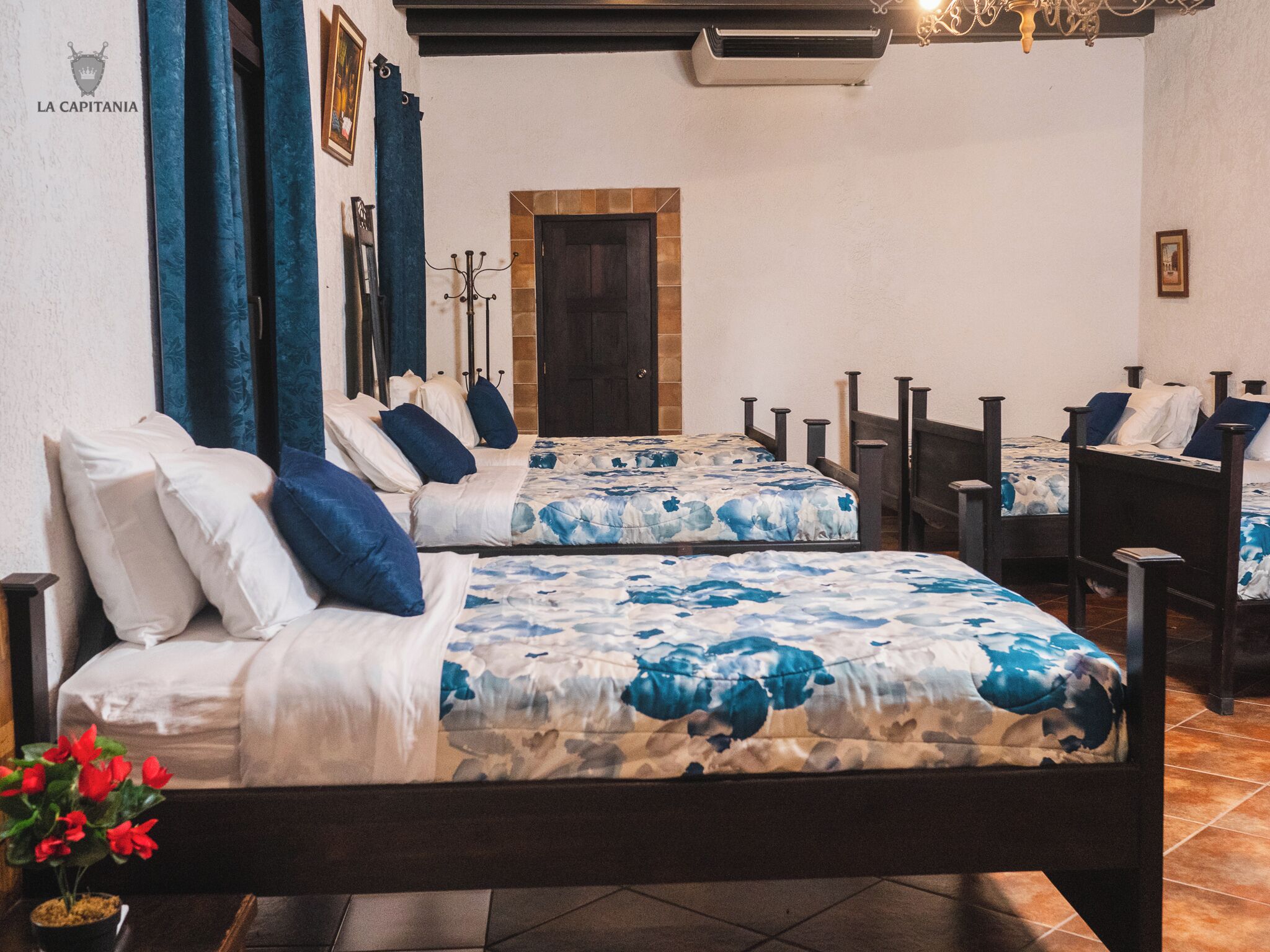 Habitación de hotel con dos camas, una puerta de madera, un perchero y una planta en maceta.