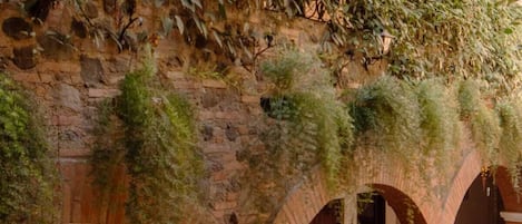 Vue sur le jardin