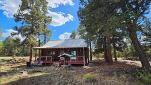 A cabin with a metal roof, surrounded by tall pine trees, with a porch and outdoor seating area. - Secluded luxurious 2‑bedroom cabin w/WiFi near Williams, AZ on 18 acres of pines (Williams)