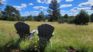 Two Adirondack chairs facing a field with a mountain view. - Secluded luxurious 2‑bedroom cabin w/WiFi near Williams, AZ on 18 acres of pines (Williams)