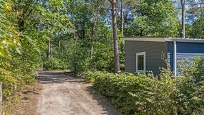 A dirt path leading to a small building surrounded by dense greenery.