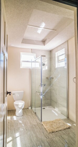 Toallas y papel de baño 