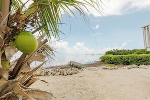 A beach with a palm tree, a wooden dock, and a building in the background.