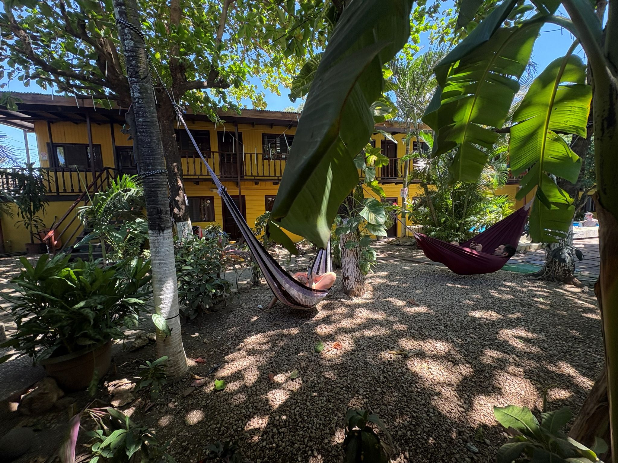 A courtyard with a hammock, potted plants, and a yellow building with balconies.