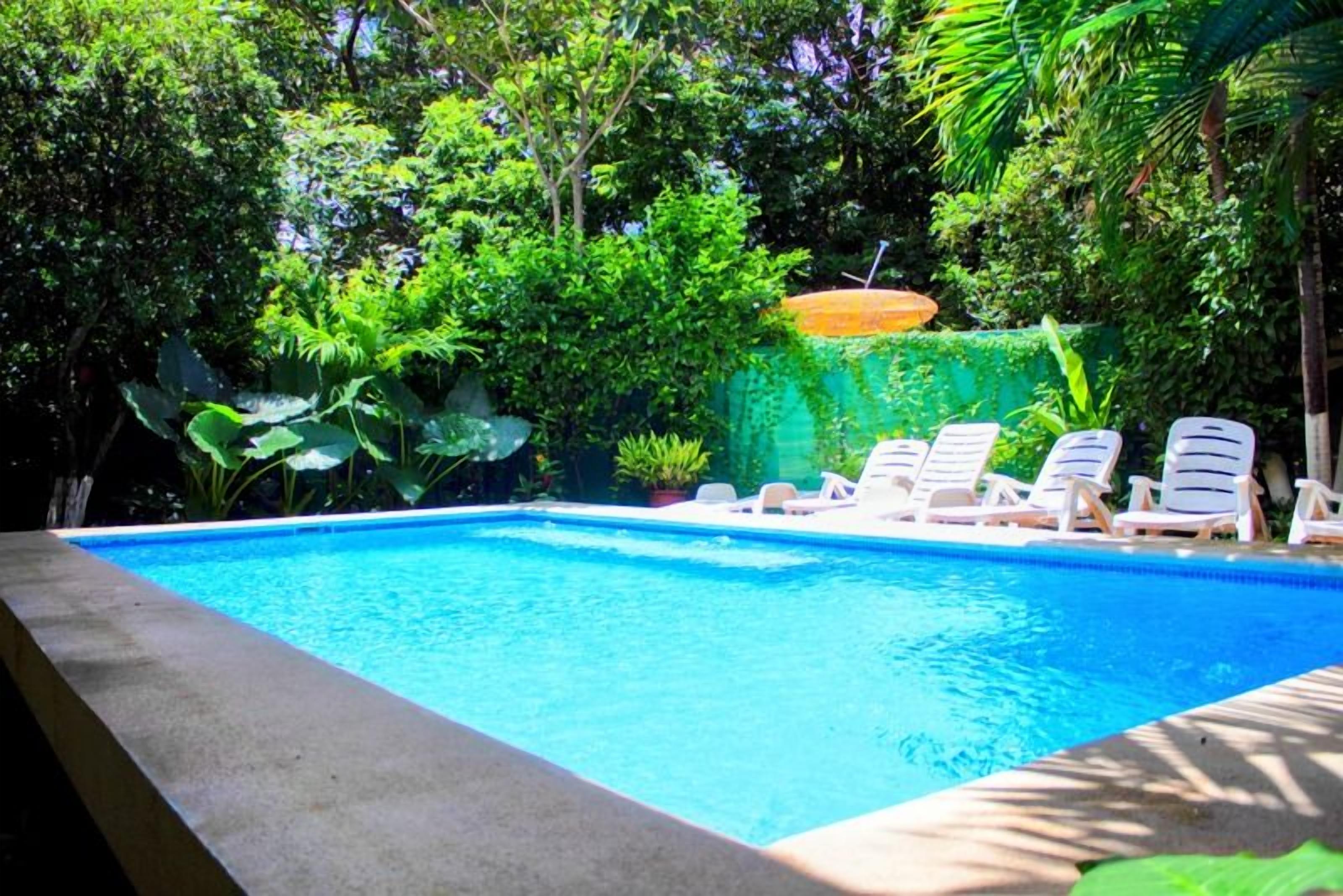 A swimming pool with lounge chairs and lush greenery.
