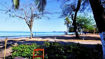 A beachside view with a wooden table and chair, palm trees, and a clear view of the ocean.