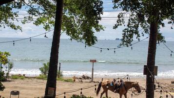 A beach with a horse, palm trees, and a string of lights.