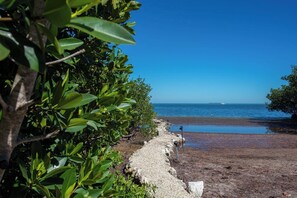 Unclassified image, 2 of 48, button