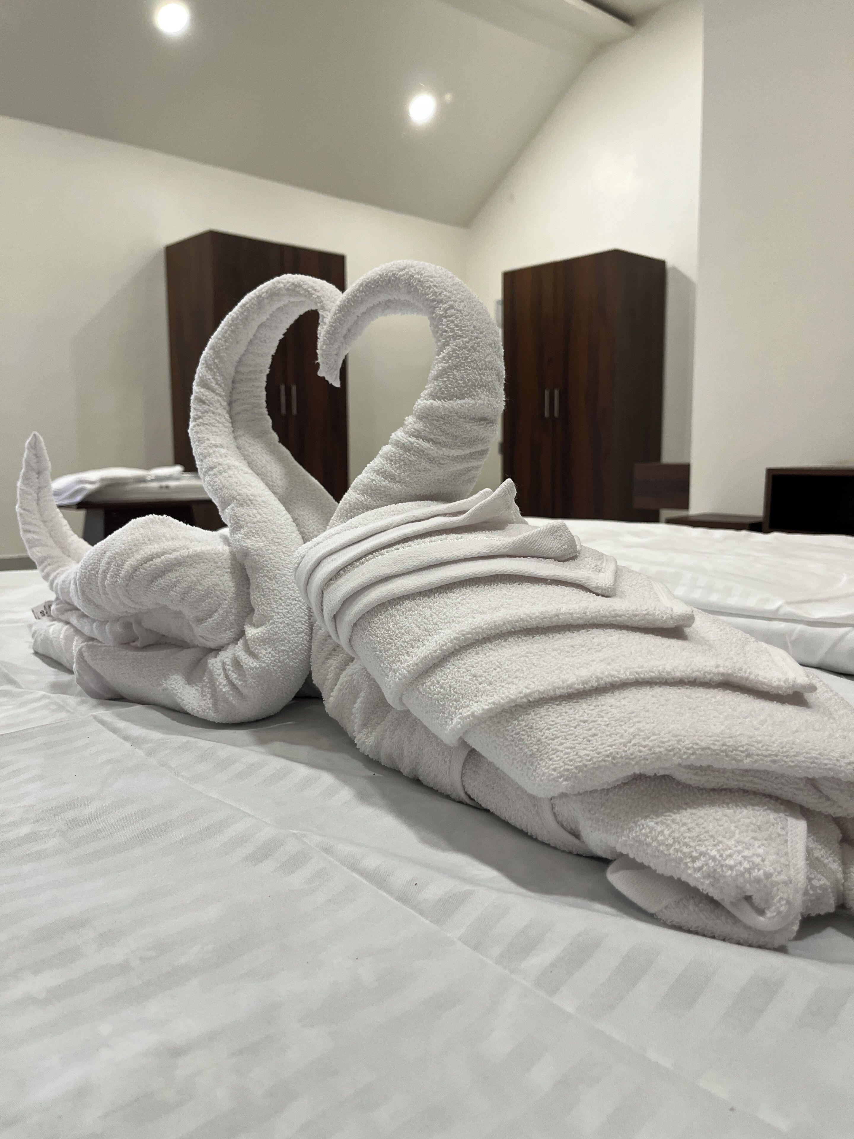 A neatly folded white towel arranged in a swan shape on a bed in a modern hotel room with wooden wardrobes and a white ceiling.