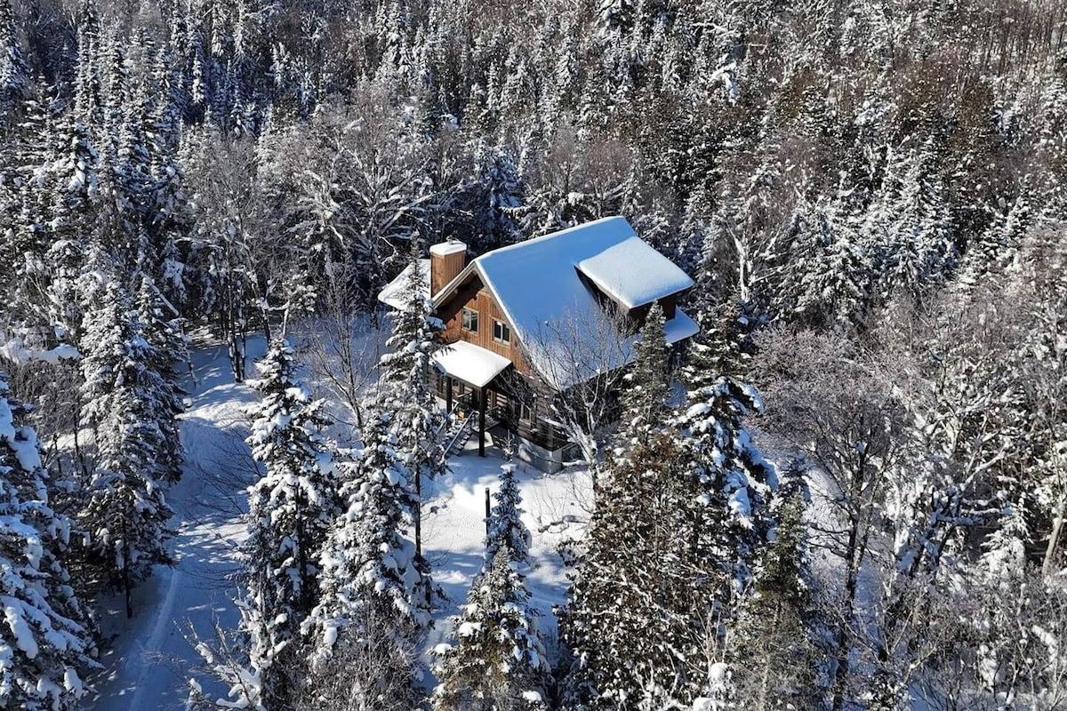 Una cabaña rodeada de árboles cubiertos de nieve.