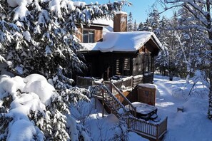 Une cabane au revêtement extérieur en bois, dotée d’une terrasse et surplombant un paysage enneigé.