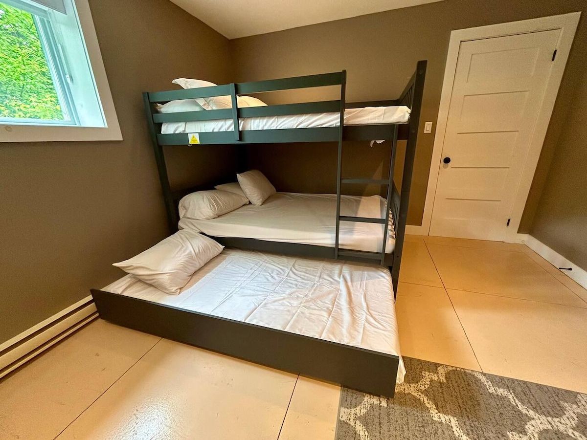 Una cama litera con colchón y almohadas, una ventana con vista a follaje y una puerta.