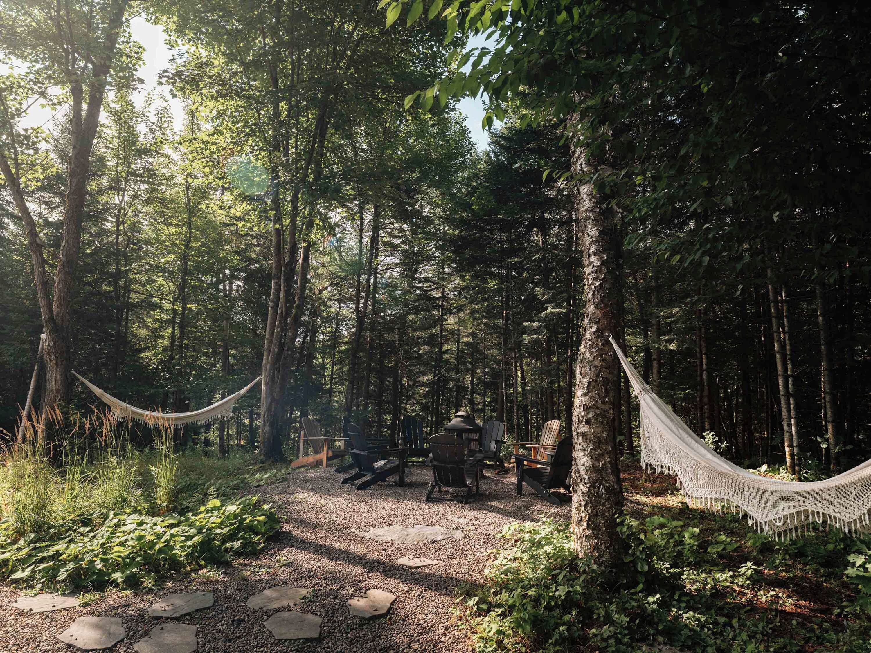 A forested area with a hammock, seating area, and a path.