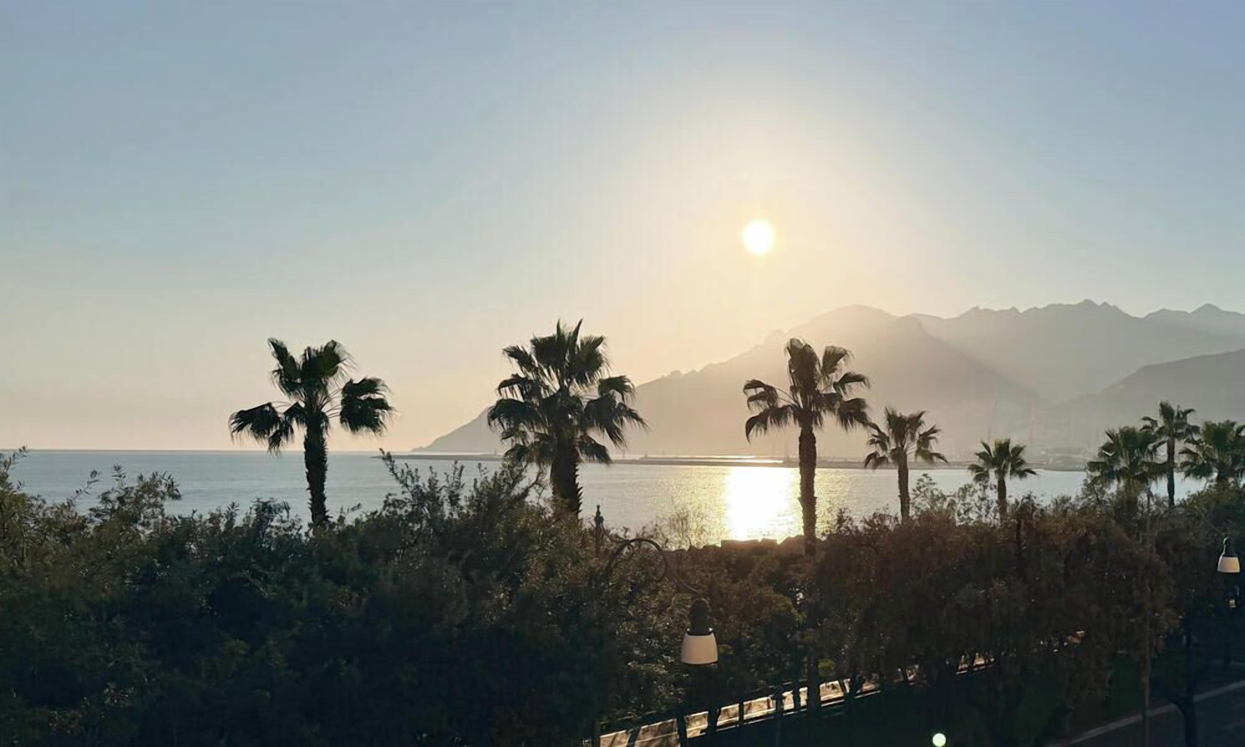 A coastal landscape with palm trees, a body of water, and mountains in the background.