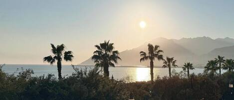 A coastal landscape with palm trees, a body of water, and mountains in the background.