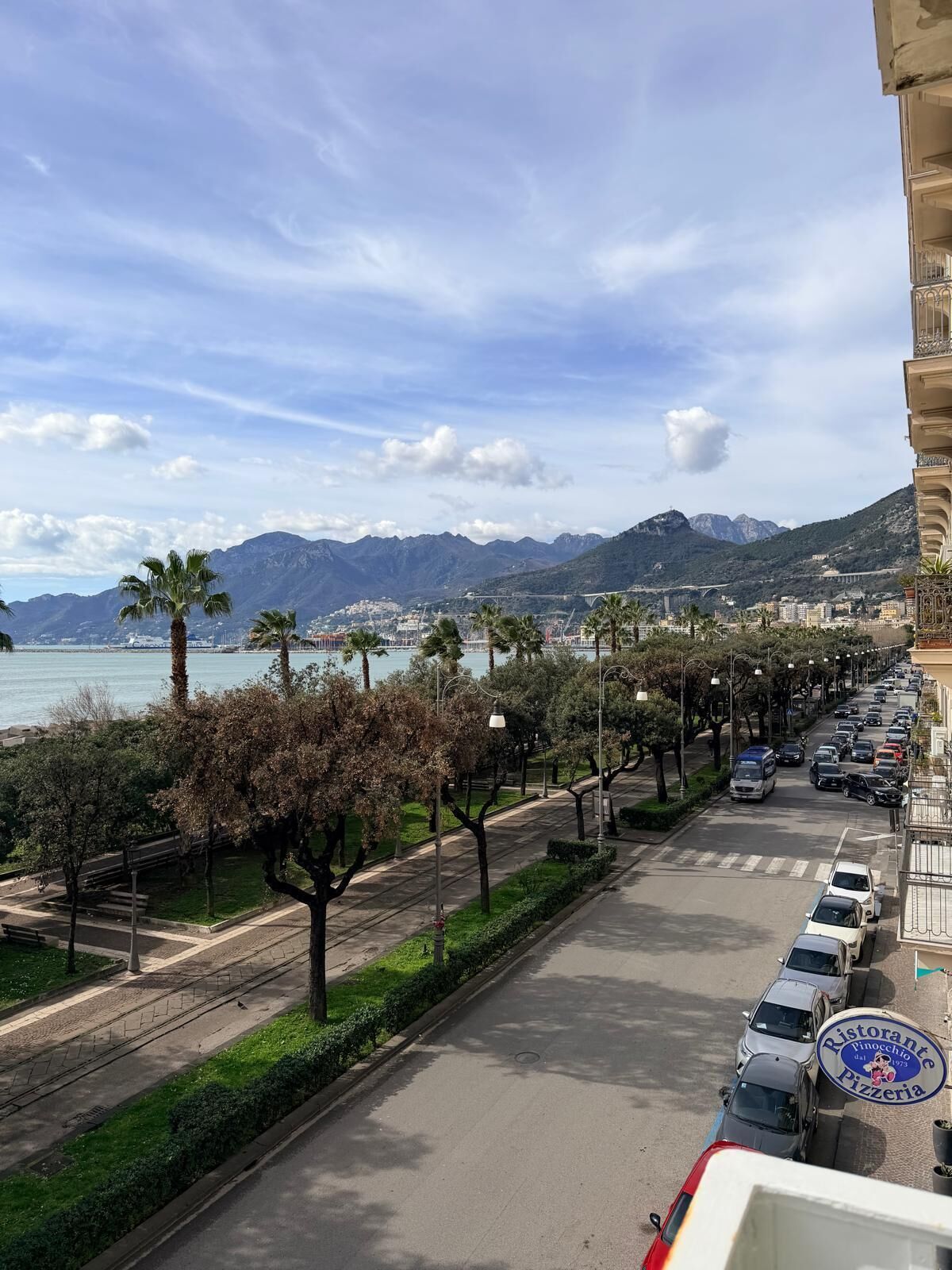 A street with parked cars, a row of trees, and a view of the sea and mountains in the background.