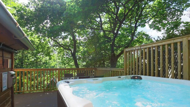 A hot tub on a wooden deck with a view of trees. - Lodge 68 - Fern Gully (Newton Abbot)