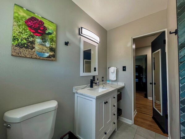 Hair dryer, towels, soap, toilet paper