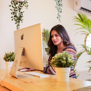 Una persona usando una computadora de escritorio en un pupitre de madera con un teclado y un ratón. Hay plantas en macetas sobre el escritorio y al fondo.