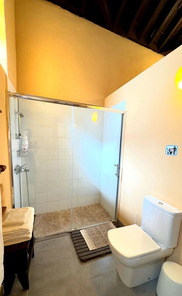 Een badkamer met een douchecabine van glas, een toilet en een wastafel.